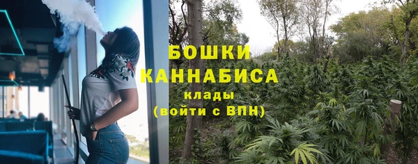 хмурый Абаза