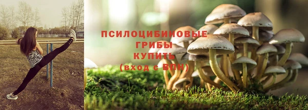 таблы Алексеевка